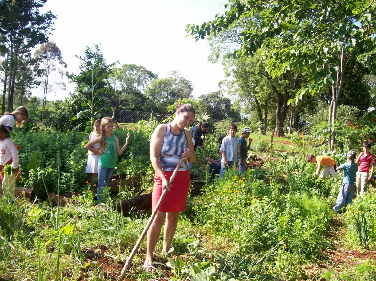 Comunidad rural y urbana para niños - Imagui