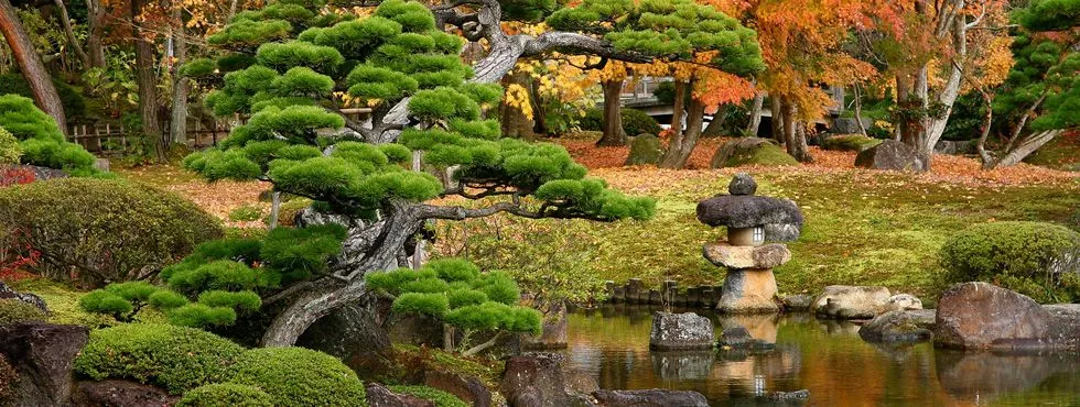 Concepto de jardines japoneses | Paisajistas Marbella