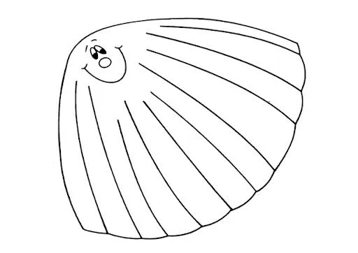 coquillage.jpg?imgmax=640