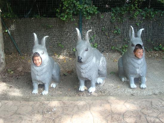 Los conejitos.: fotografía de Faunia, Madrid - TripAdvisor