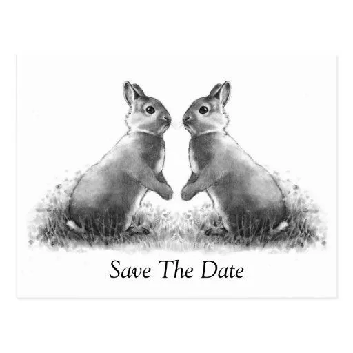 Dos conejos (conejitos): Ahorre la fecha Postal | Zazzle