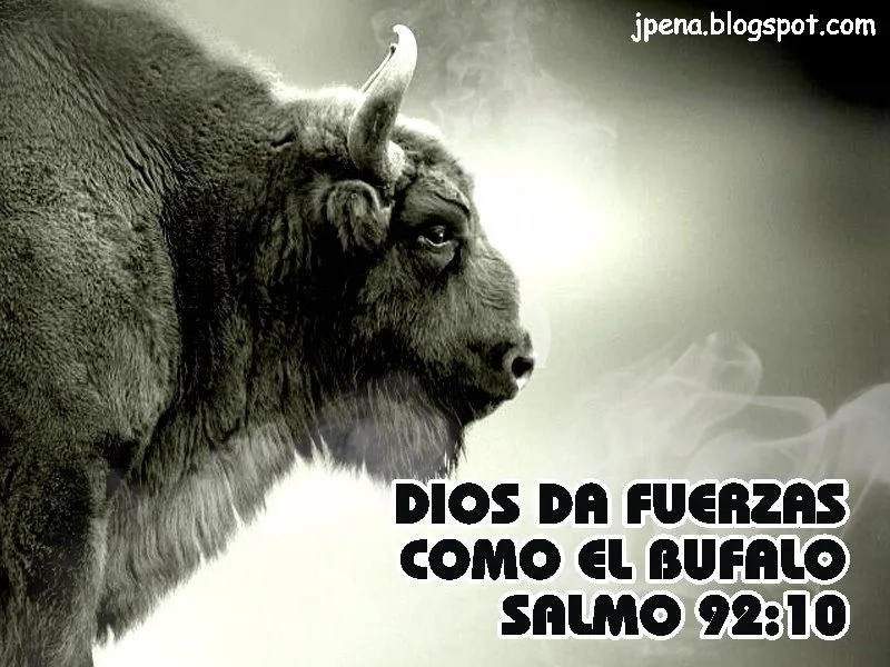 Conexión Juvenil Cristiana: Salmos 92:10