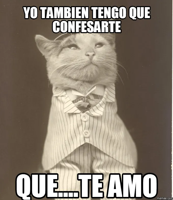 yo tambien tengo que confesarte que....TE AMO | Memes.com