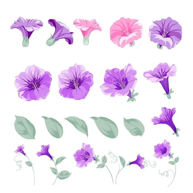 Conjunto de elementos florales de enredadera. colección de flores  enredaderas sobre un fondo blanco. plantillas florales con flores de  jardín. ilustración botánica vectorial. | Vector Premium