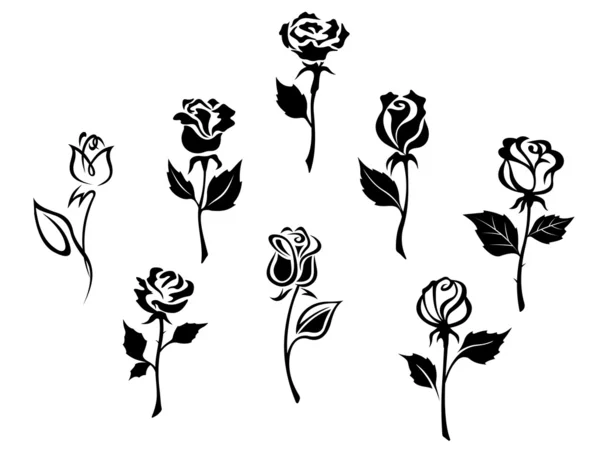 conjunto de hermosas rosas — Vector stock © Seamartini #13383507