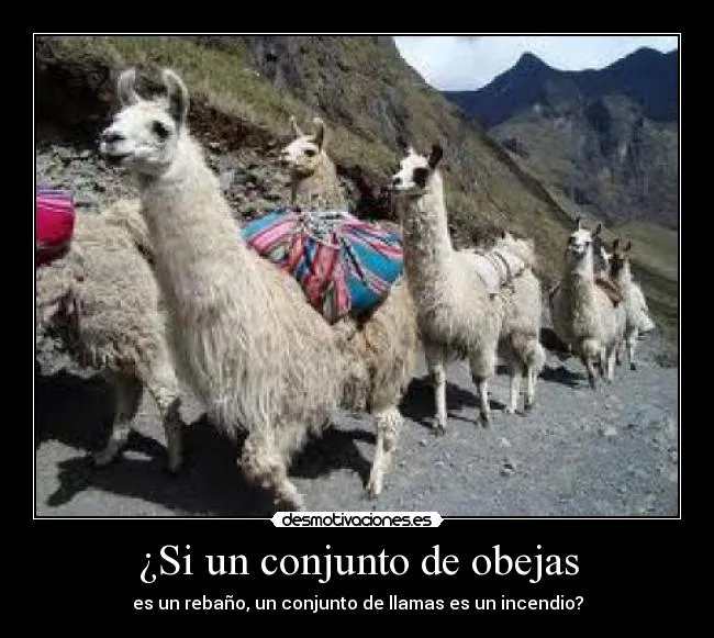 Si un conjunto de obejas | Desmotivaciones