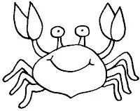 Conoce a los animales