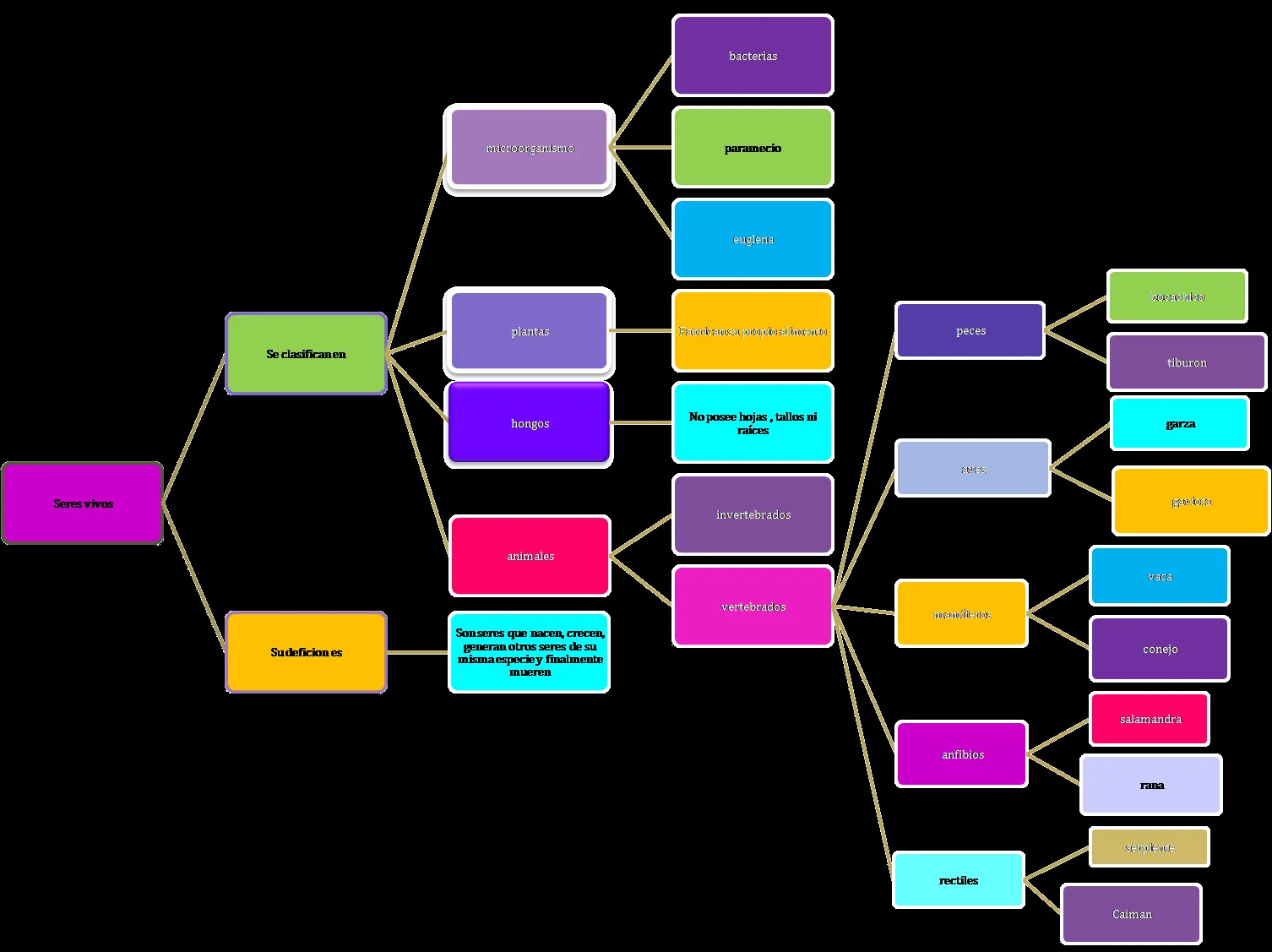 Conoce los seres vivos: Para concluir revisa este mapa conceptual ...