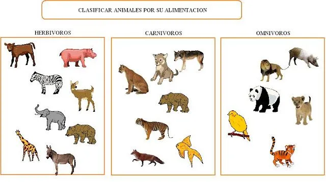 CONOCEMOS A LOS ANIMALES: Aprende la teoría "ANIMALES HERVÍVOROS ...