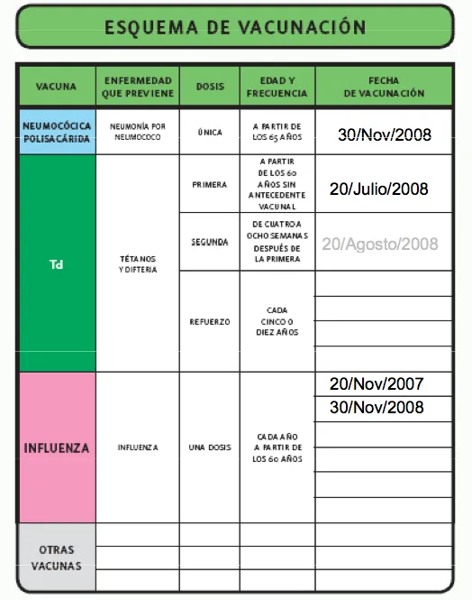 Ya conocen la cartilla de vacunación de los mayores de 60 años ...