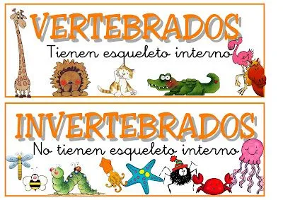 Conociendo Los Animales: ¡¡ANIMALES VERTEBRADOS E INVERTEBRADOS!!