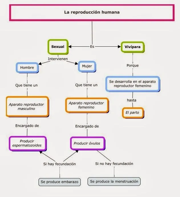 CONOCIMIENTO DEL MEDIO 5º y 6º: LA REPRODUCCIÓN EN ENLACES