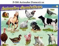 MIS NUEVOS CONOCIMIENTOS