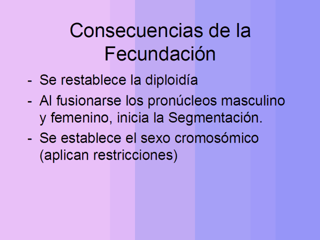 Consecuencias de la Fecundación