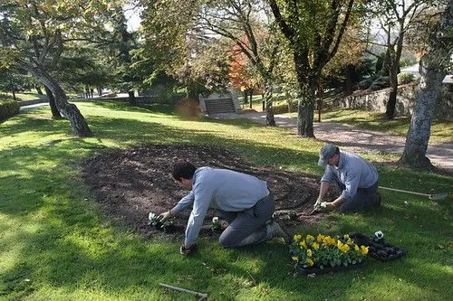 Consejos para buscar trabajo de jardinero - La Biblioteca