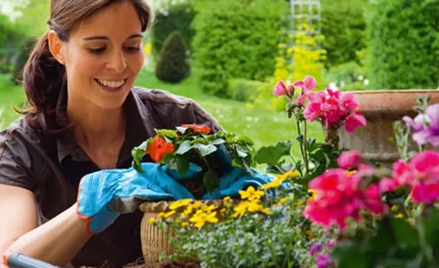 Consejos para cuidar las plantas de interior en verano - De ...