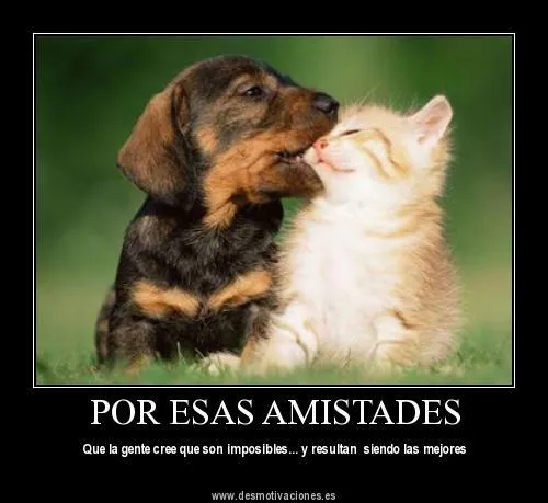 consejos para mascotas: Frases de animalitos....