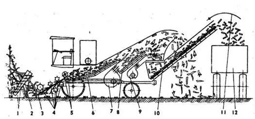 Algunas consideraciones en la planificación y organización de la ...