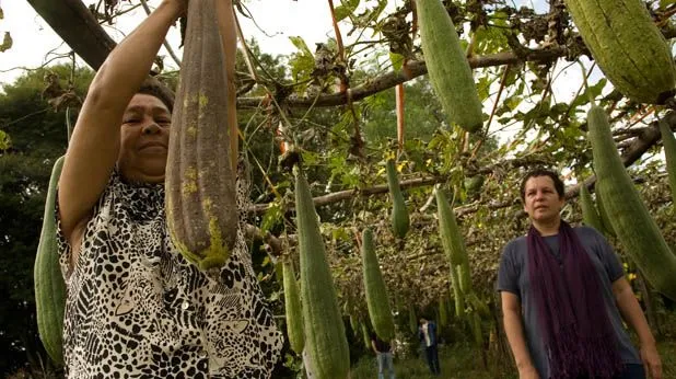 Construcción con Esponja Vegetal y Plásticos Reciclados en ...