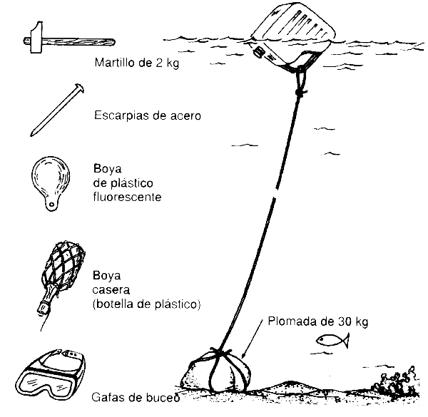 Construcción y mantenimiento de puertos y desembarcaderos para buques  pesqueros