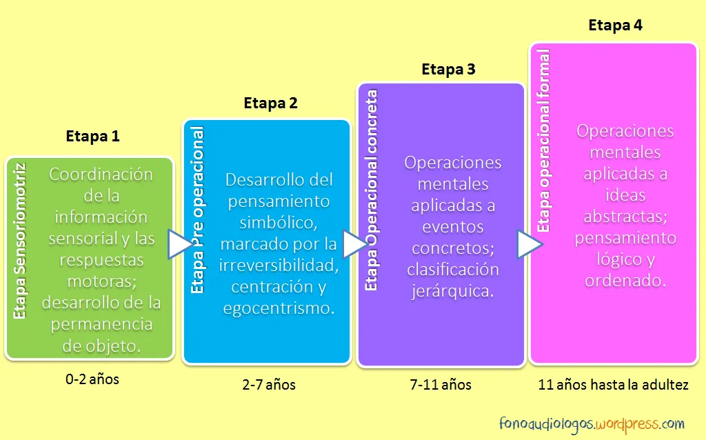 El constructivismo cognitivo de Piaget | Futuros Fonoaudiólogos