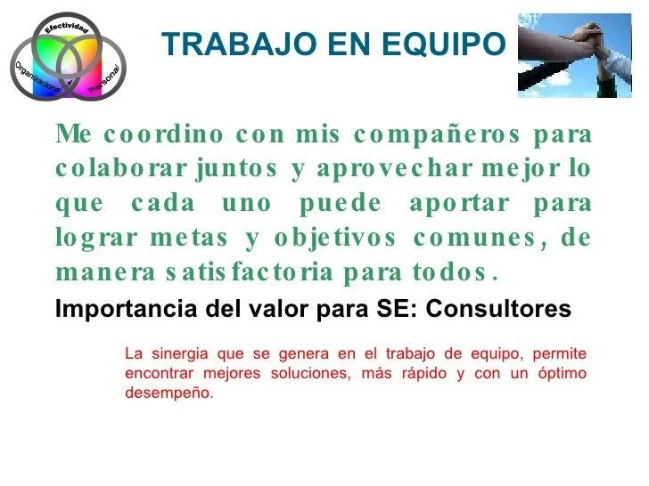 S E  Consultores