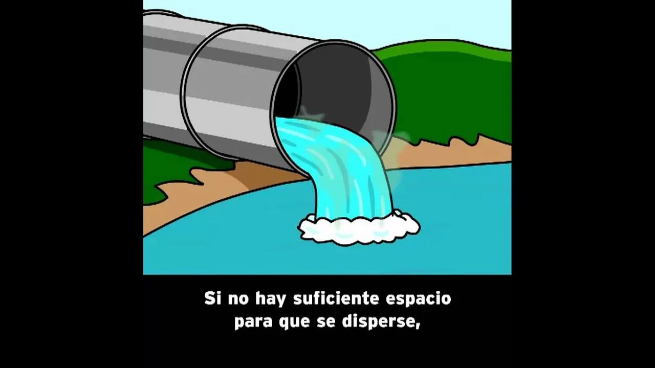 Contaminación del Agua - BrainPOP Español - YouTube