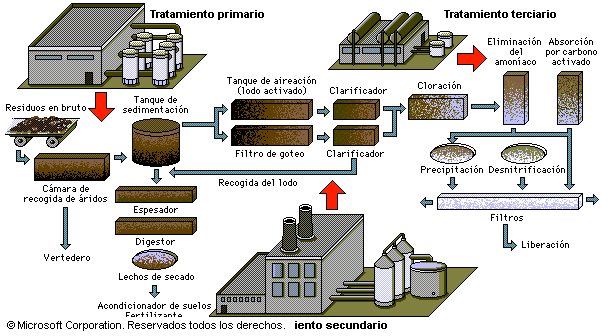 Contaminacion del agua - Monografias.com