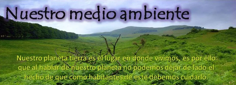 contaminación ambiental