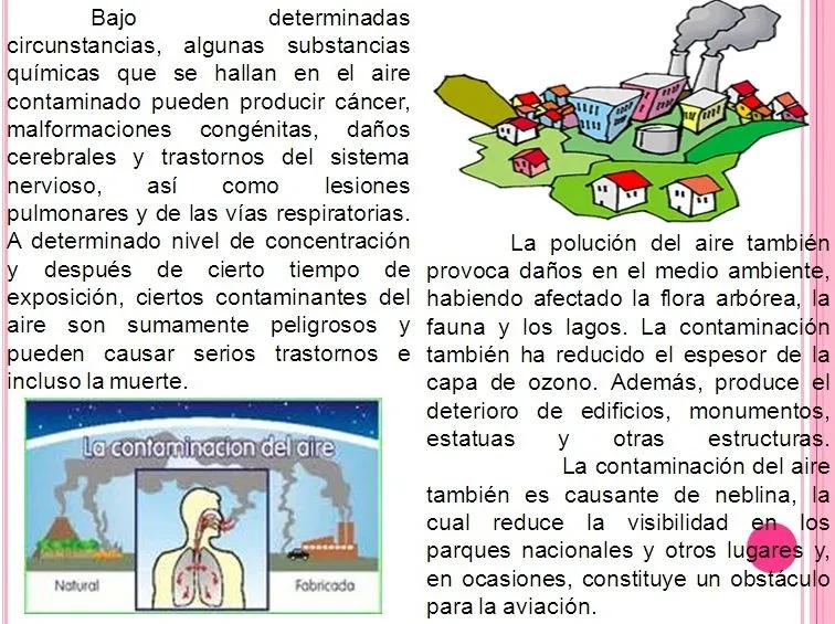 La Contaminacion Ambiental: La Contaminacion del Aire