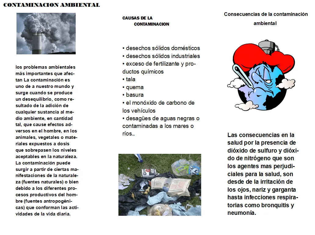 Contaminacion Ambiental: Contaminacion Ambiental