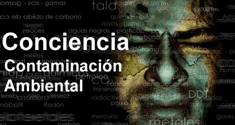 contaminacion ambiental: enero 2013