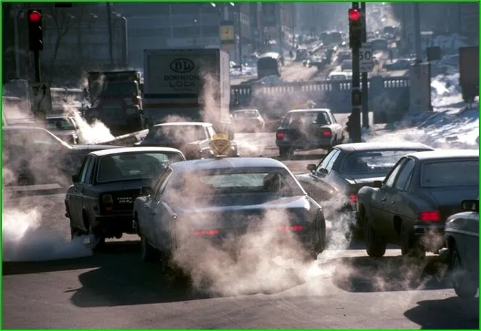 Contaminantes ambientales