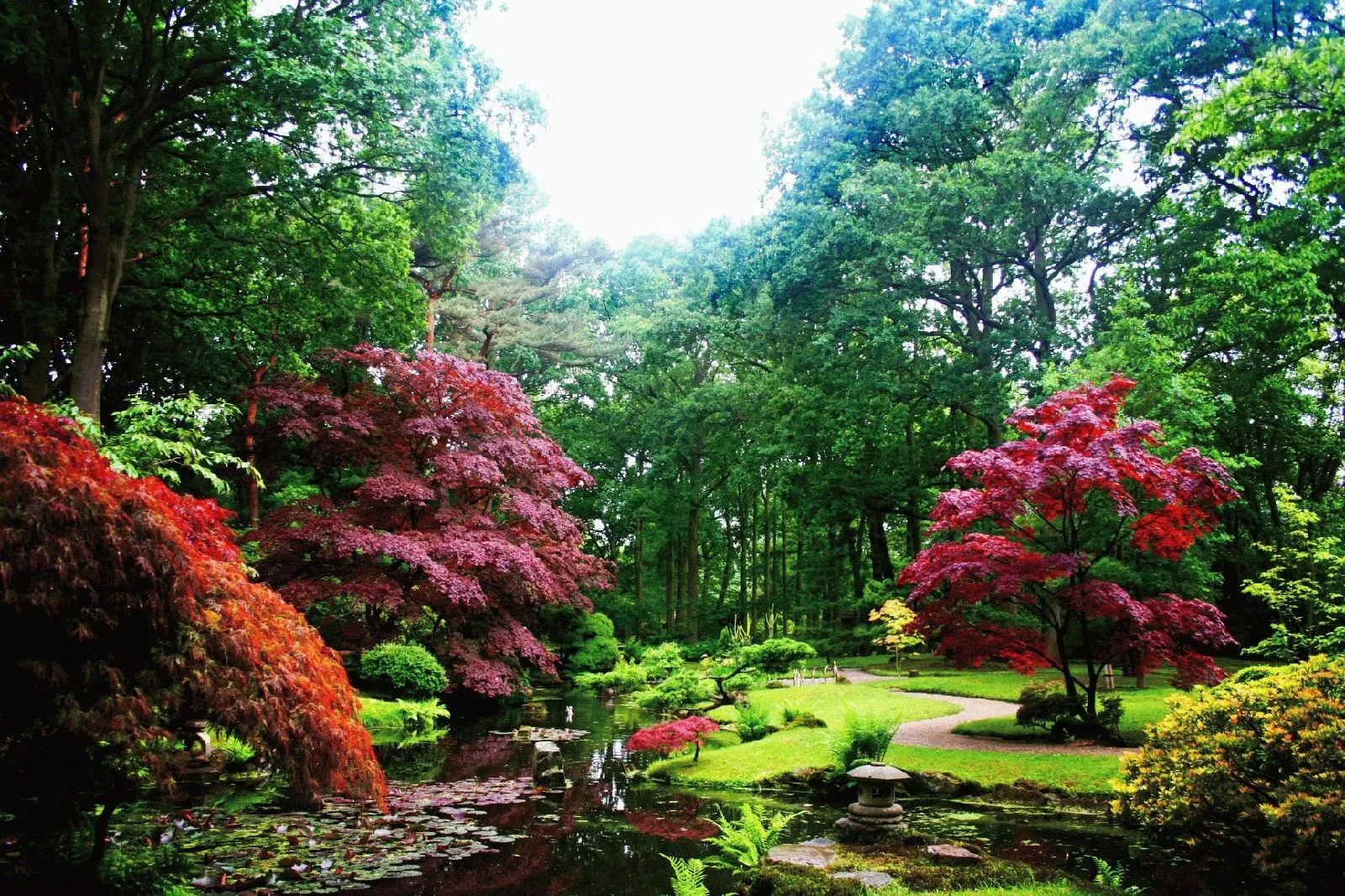 Contemplar un Jardín Japones … | blogdepelusita