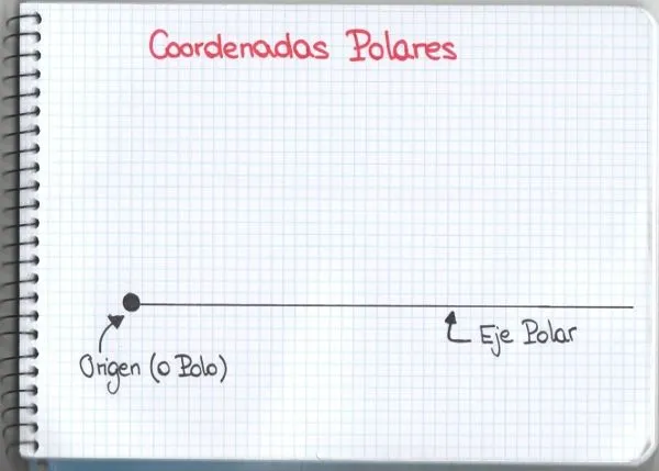 coordenadas polares | Mati, una profesora muy particular