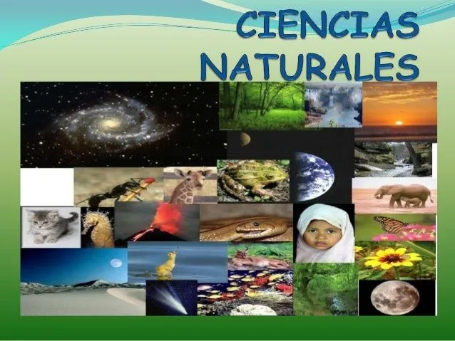 Copia de ciencias naturales ok