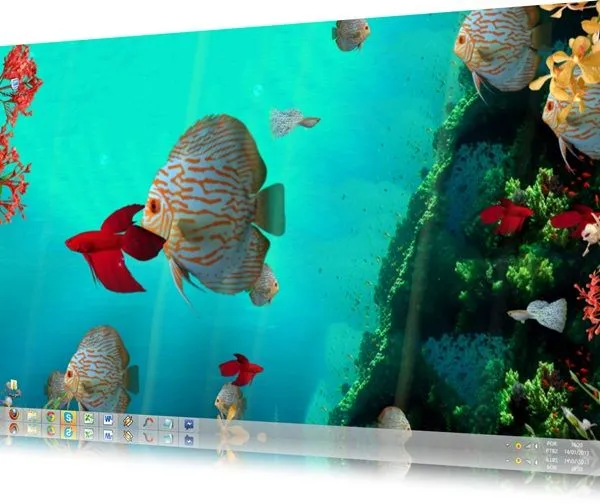 Coral Reef Aquarium 3D download - Baixaki