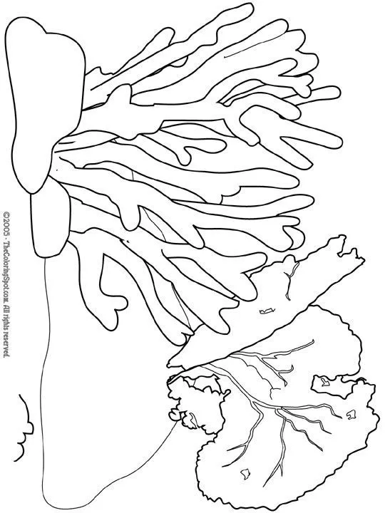 Coral Reef Coloring Pages | Coral | Free printable coloring pages ...