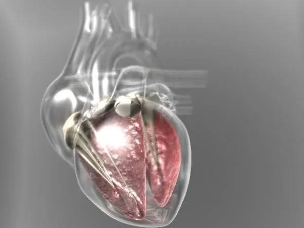 Corazon en 3D - Imagui