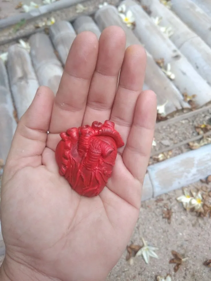 Mi corazón es para ti | Corazones, Plastilina epoxica, Plastilina