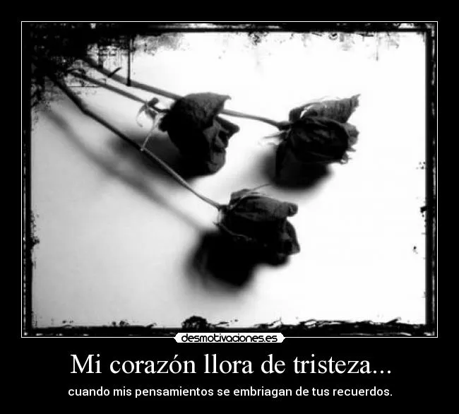 Mi corazón llora de tristeza... | Desmotivaciones