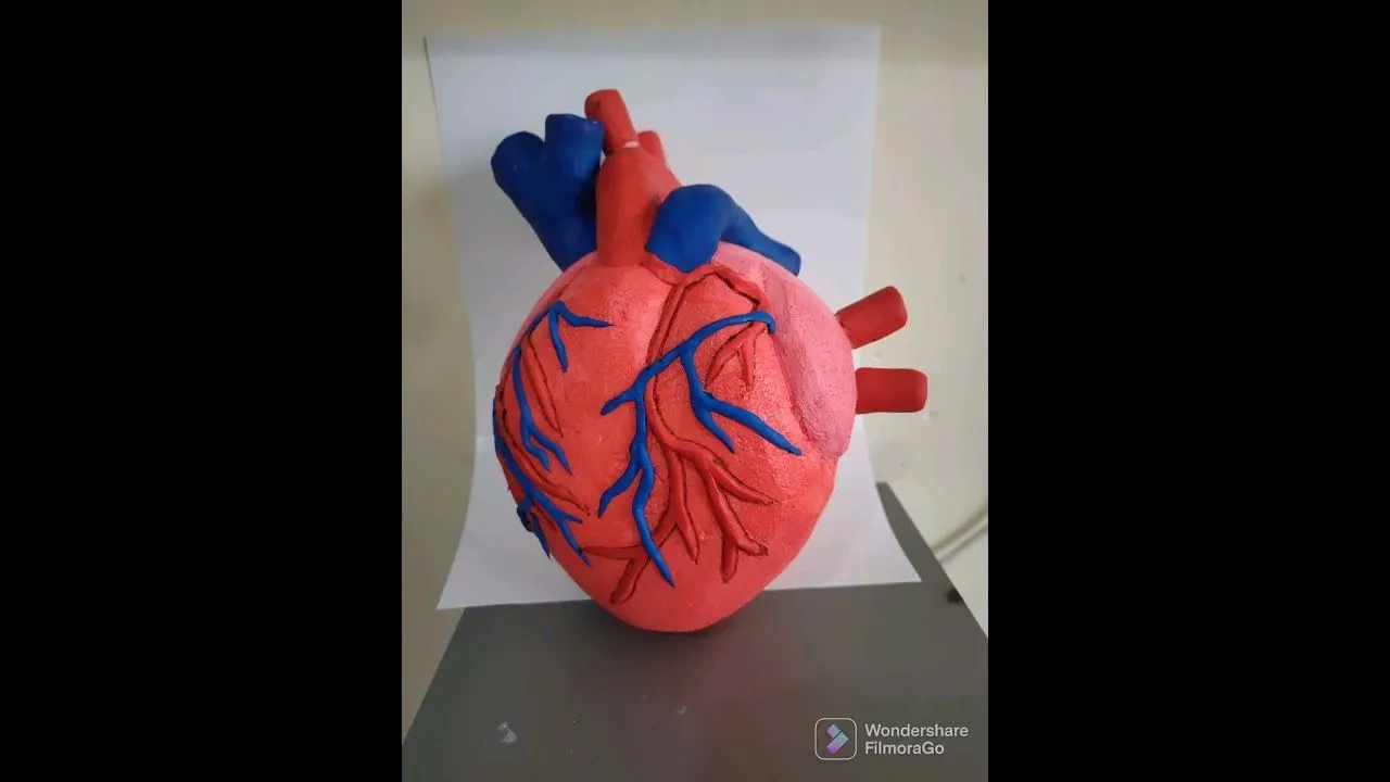 El Corazón maqueta 3d - YouTube