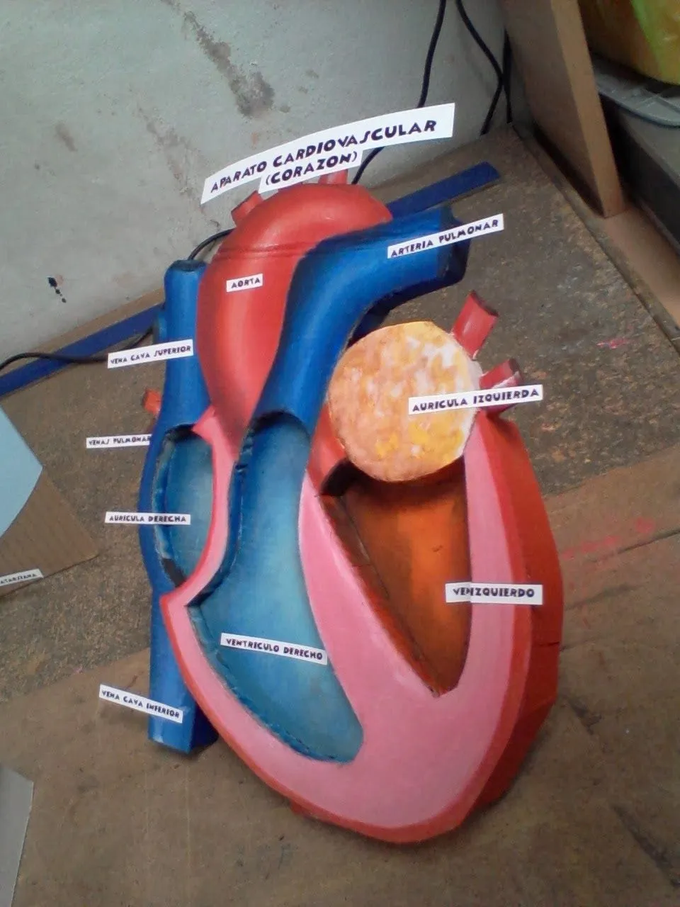 MAQUETAS, DIBUJOS Y DISEÑOS: APARATO CIRCULATORIO Y CORAZÓN