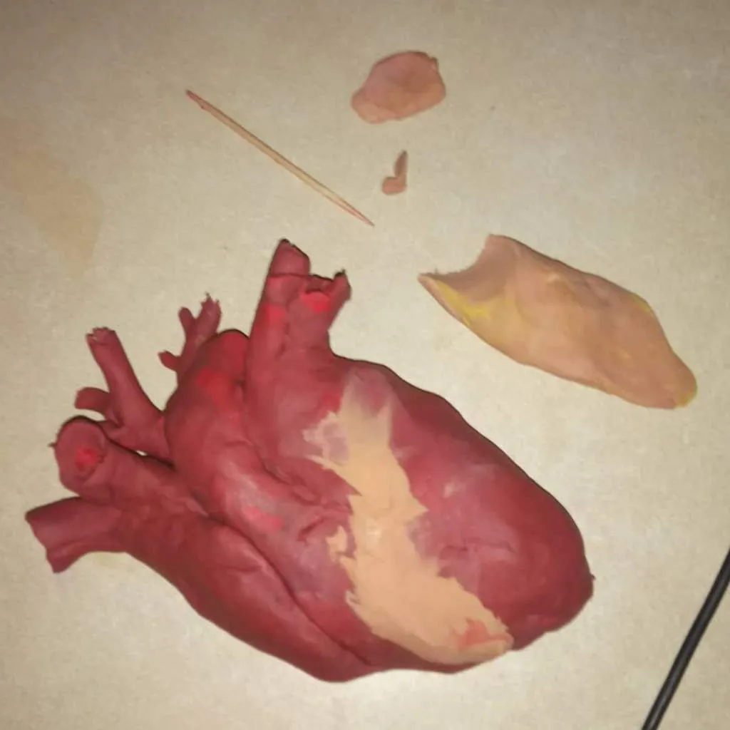 Corazón de plastilina | ARTE MACABRO Amino