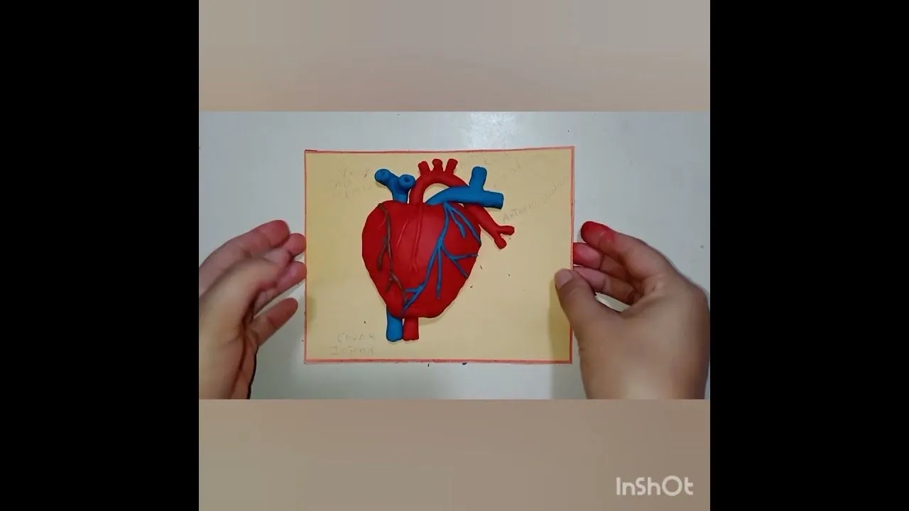 El Corazón en Plastilina - YouTube