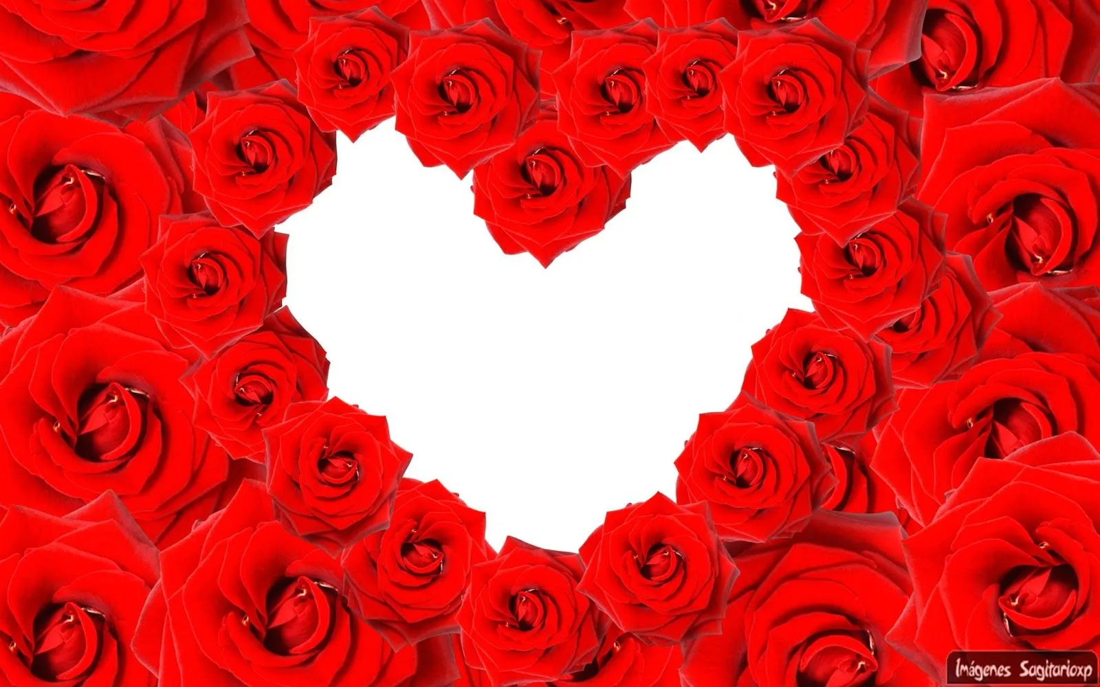 Corazón de rosas rojas | Wallpaper - Imágenes Para Compartir ...