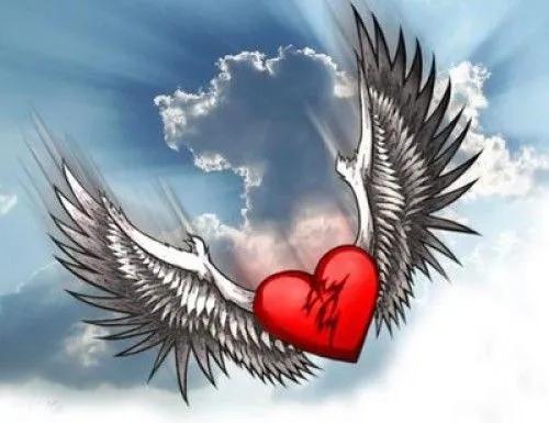 Corazones con alas | Te Amo Web - Imagenes de amor