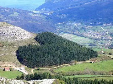 Corazones gigantes creados por la naturaleza. – Marcianos