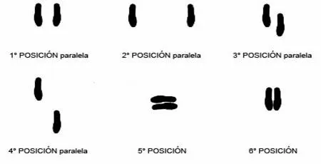 COMPOSICIÓN DE UNA COREOGRAFIA