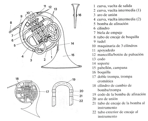 La trompa o corno francés | En Clave de Niños